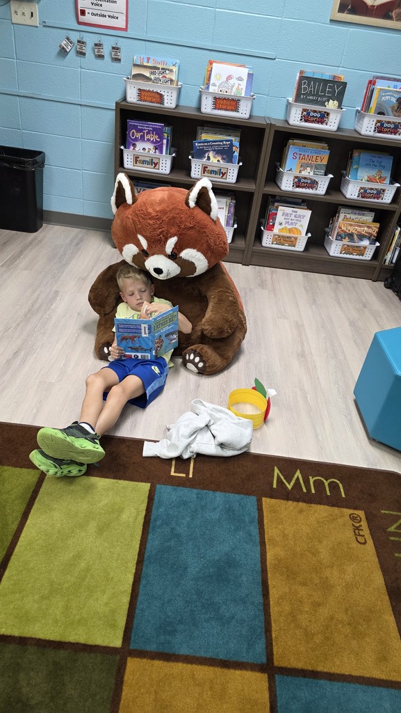 reading in the library