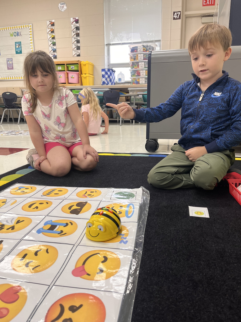 Bee Bots