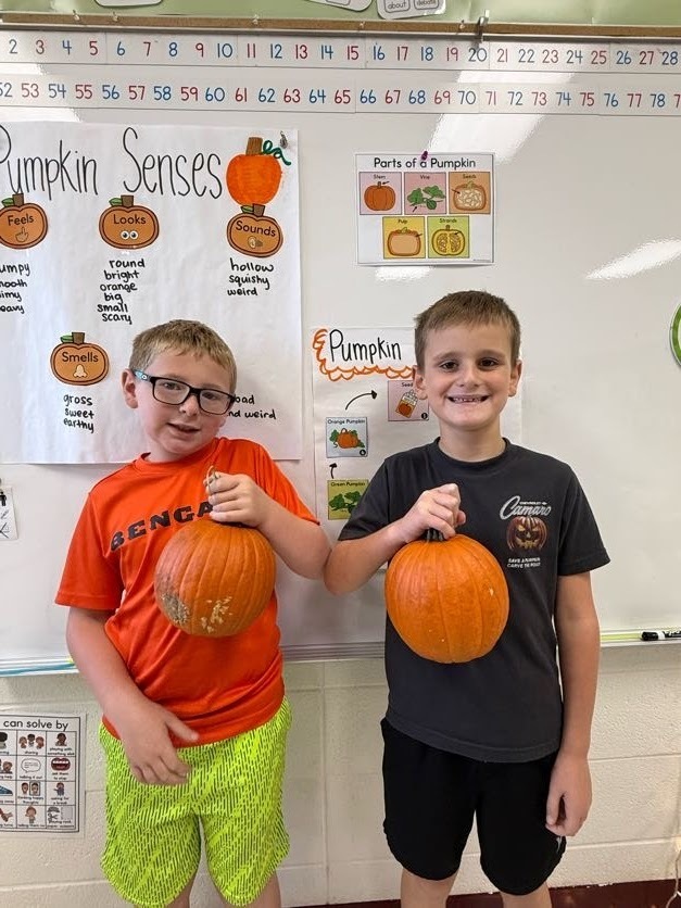 Pumpkins