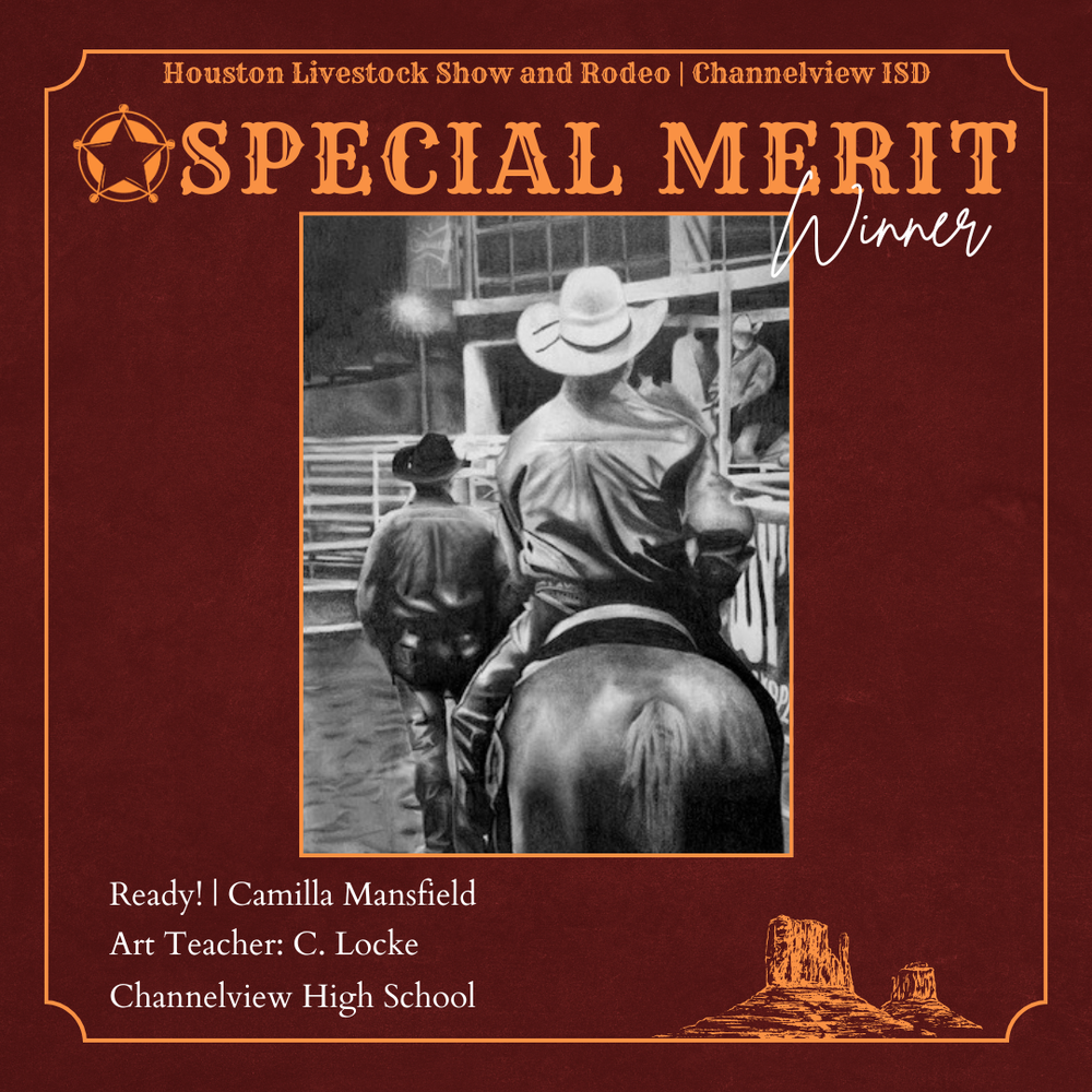 Special Merit Winner_ Camila Mansfield