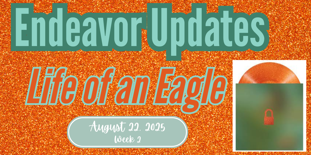 Newsletter Header 2