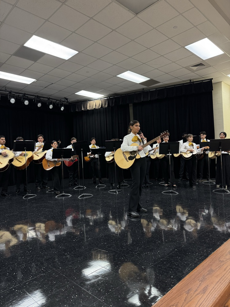 mariachi 
