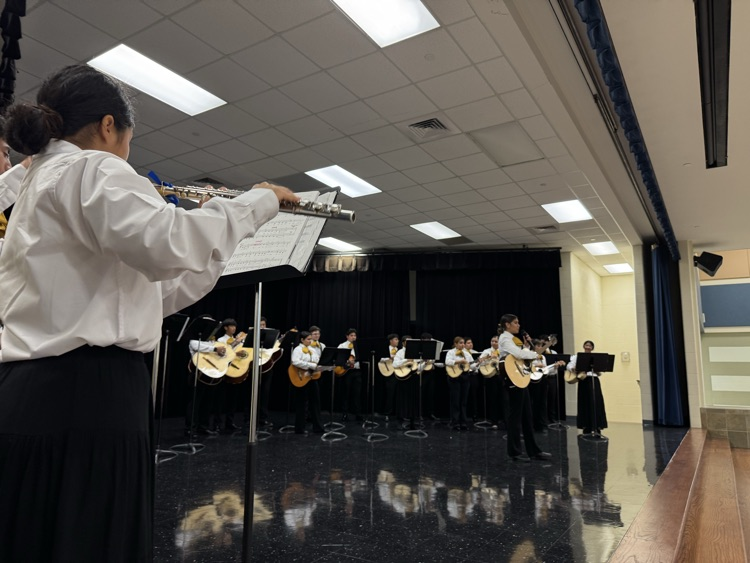 mariachi 