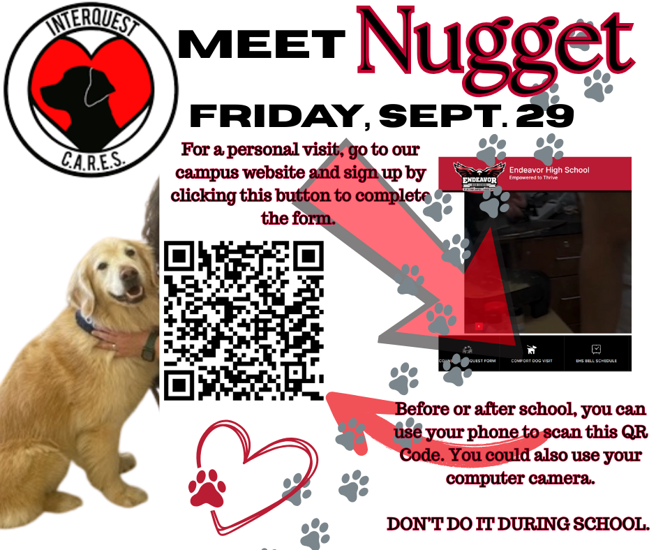 Meet Nugget