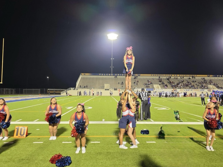 bulldog cheerleader - stunts