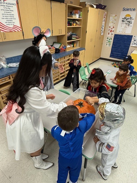 Teachers and students investigating pumpkin to see if it sinks or floats