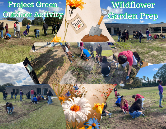students pulling weeds