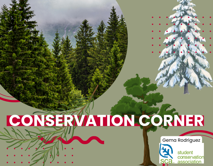 conservation trees