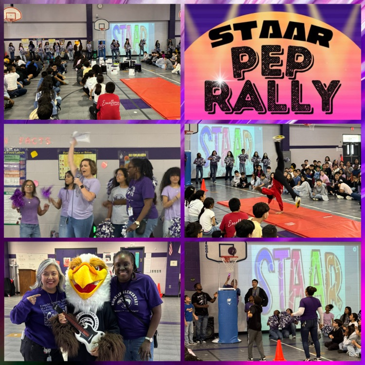 Hawks will Rock the STAAR