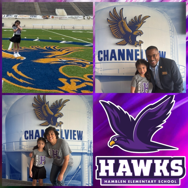 April Hawk of the Month