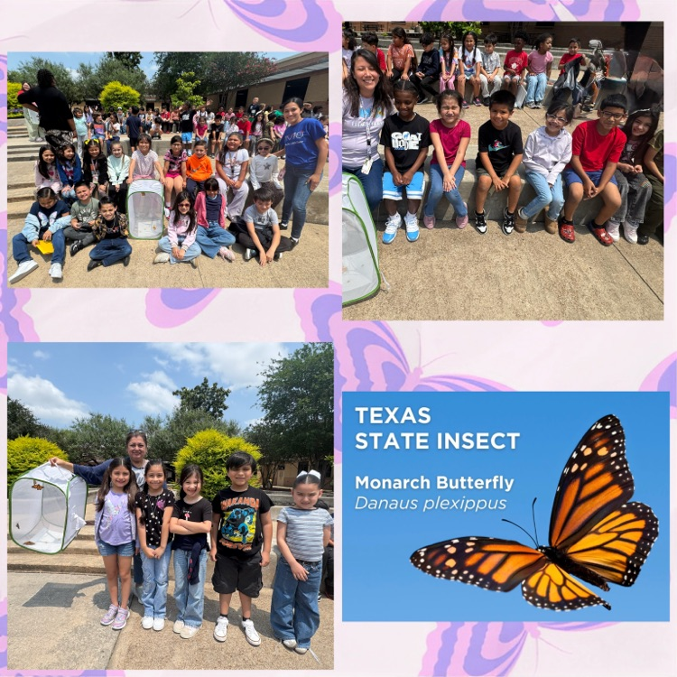 Butterfly Release @ Hamblen Elementary 
