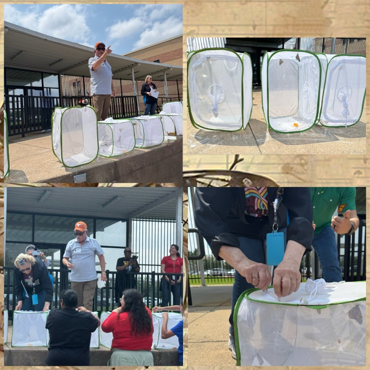Butterfly Release @ Hamblen Elementary 