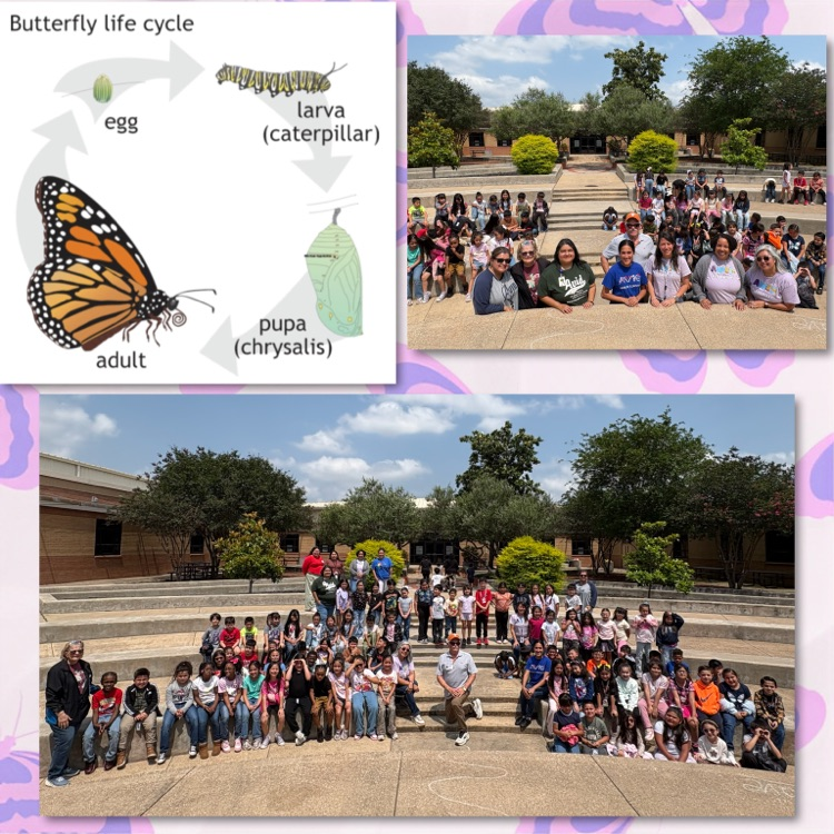 Butterfly Release @ Hamblen Elementary 