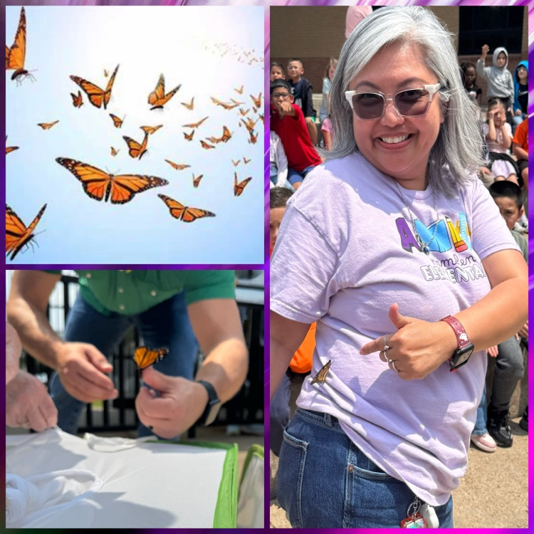 Butterfly Release @ Hamblen Elementary 