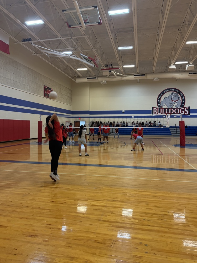 volleyball game