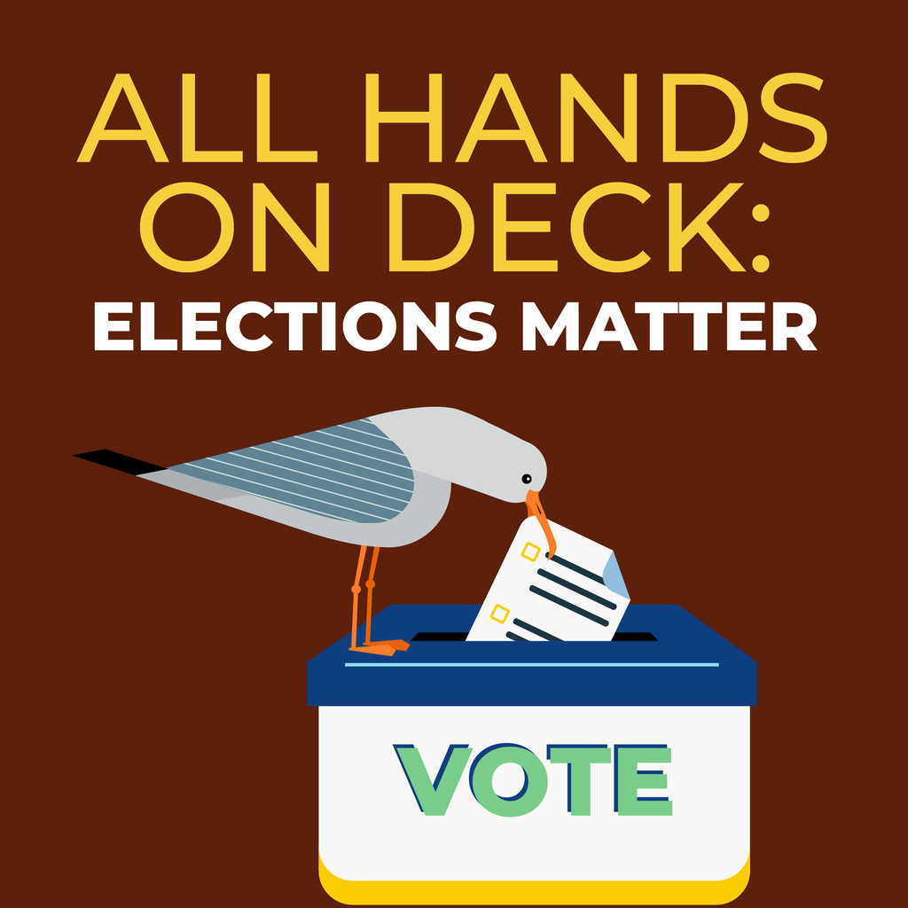 All Hands On Deck Elections Matter
