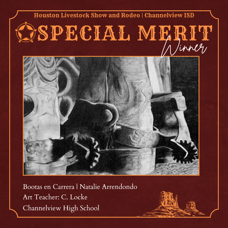 Special Merit Winner