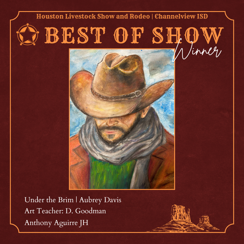 Special Merit Winner