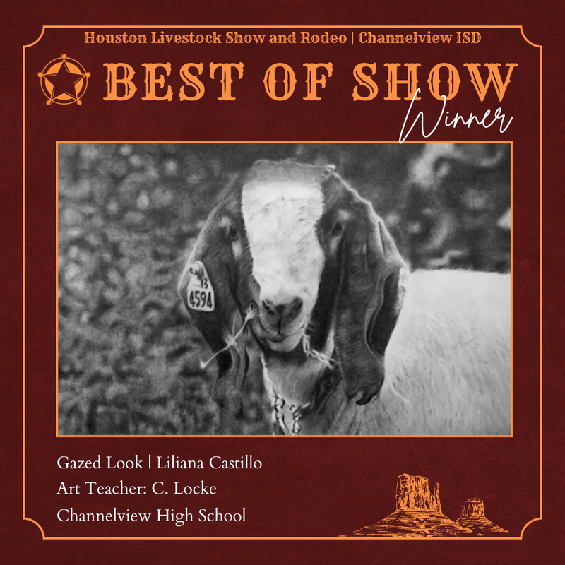 Special Merit Winner