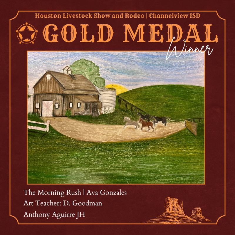 Special Merit Winner