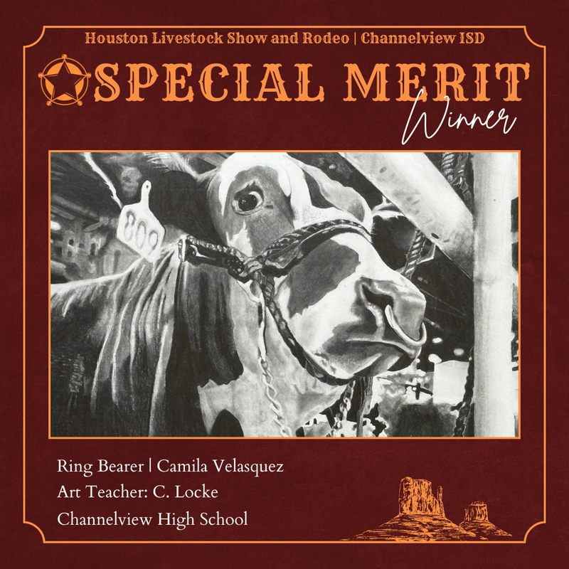 Special Merit Winner