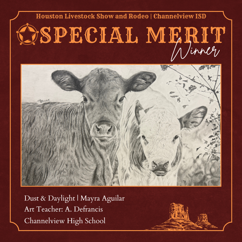 Special Merit Winner