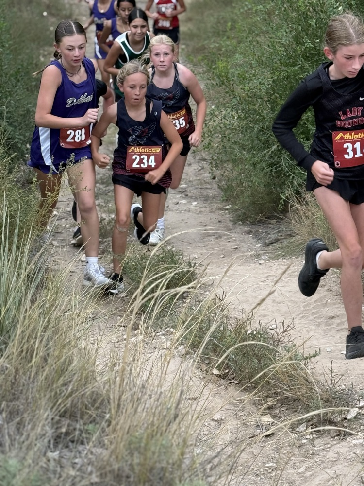 cross country meet 