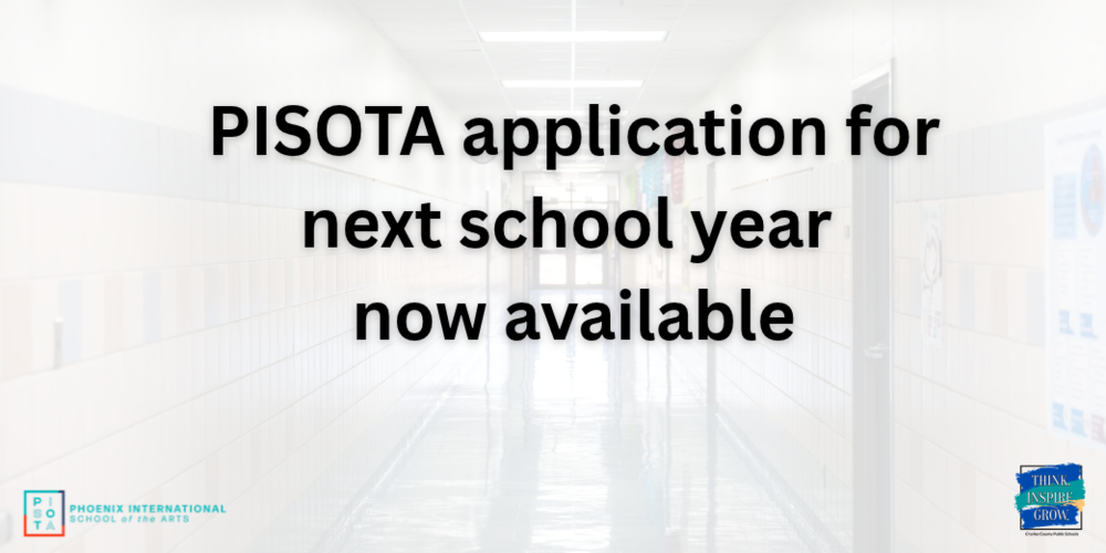 PISOTA Application Opening Art