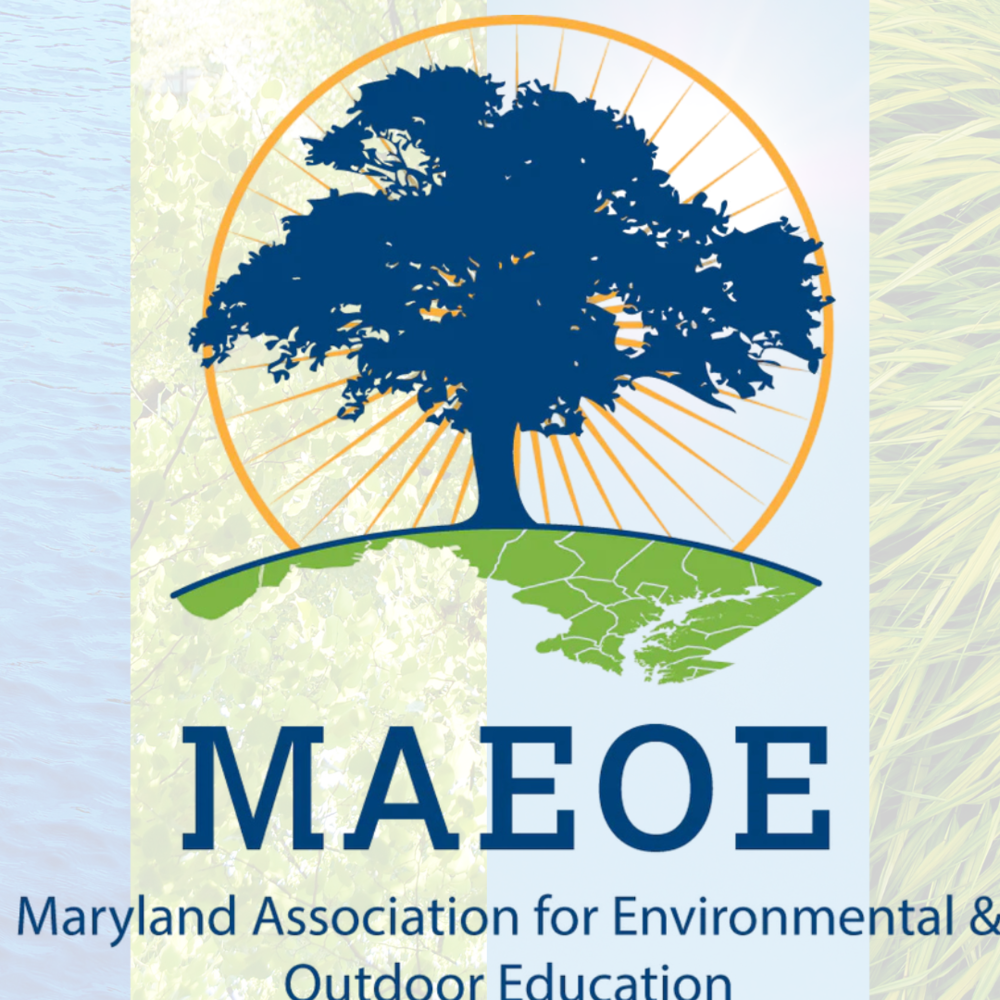 image of tree on background of grass