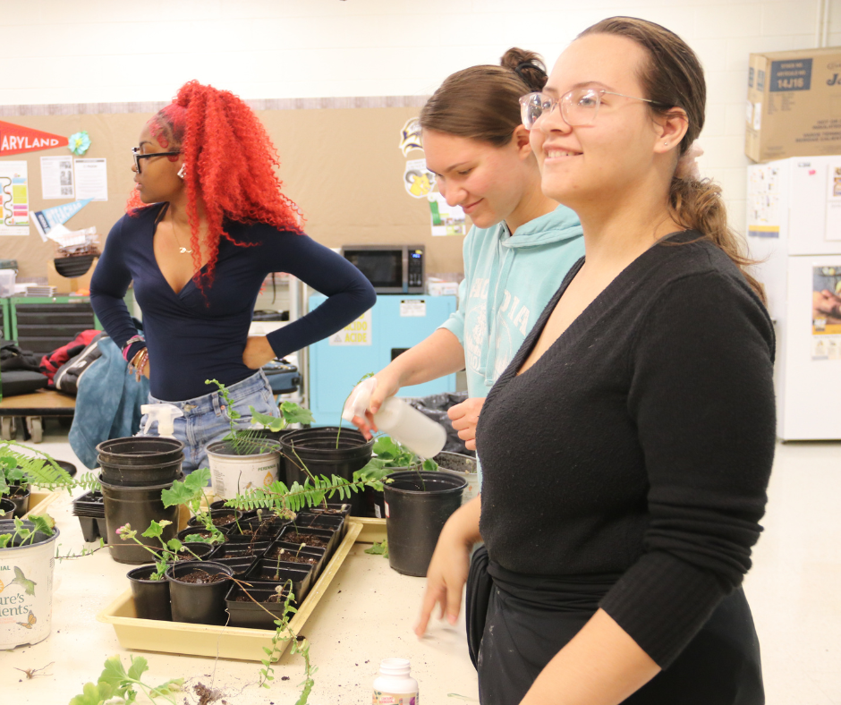 Students
