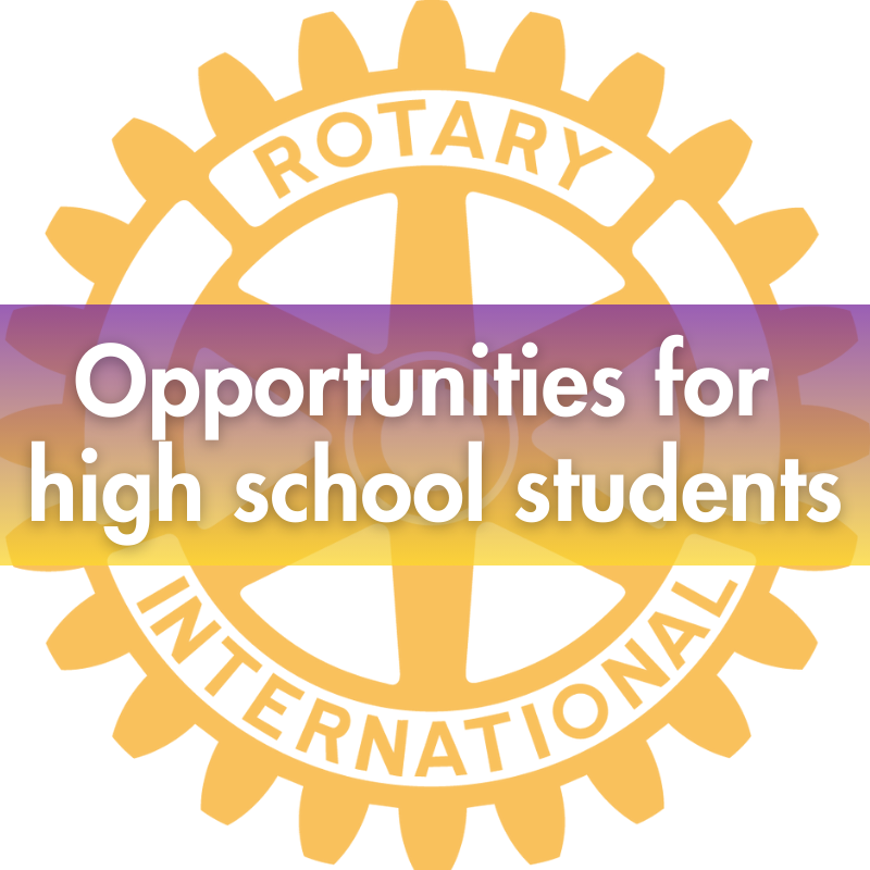 rotary club symbol