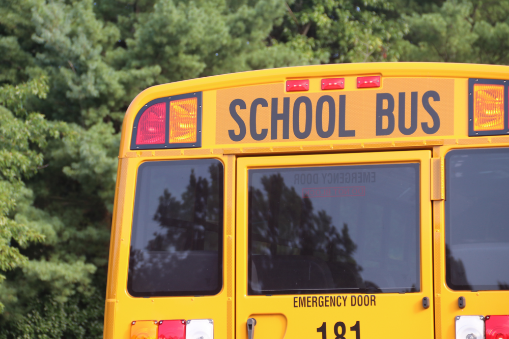 Bus