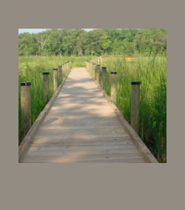 marsh boardwalk