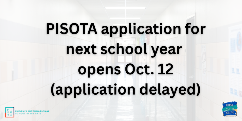 PISOTA Application Opening Art