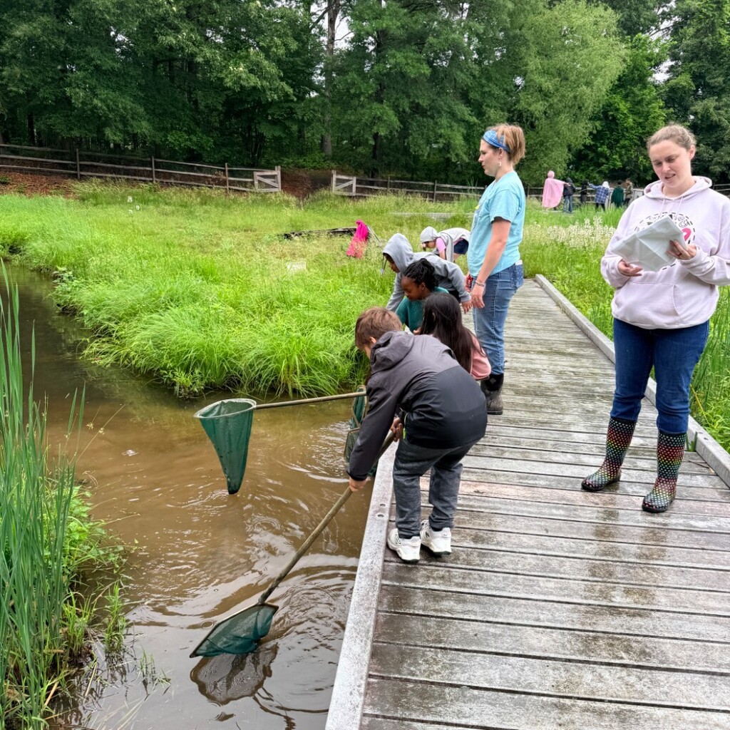 Wetlands Day! 