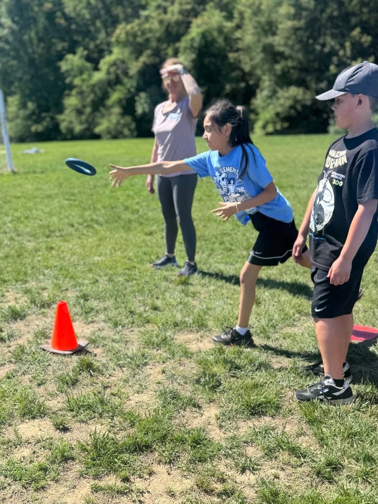 Field day ring toss