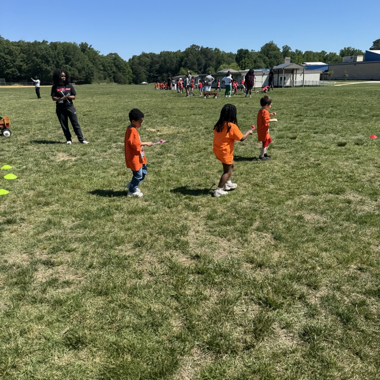 field day