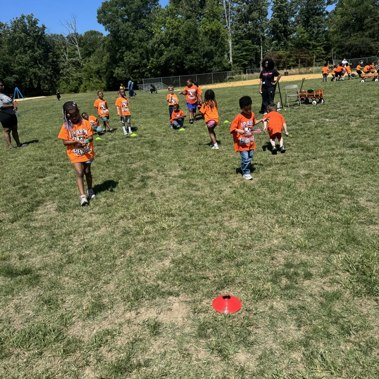 field day