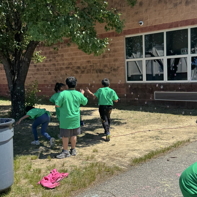 field day
