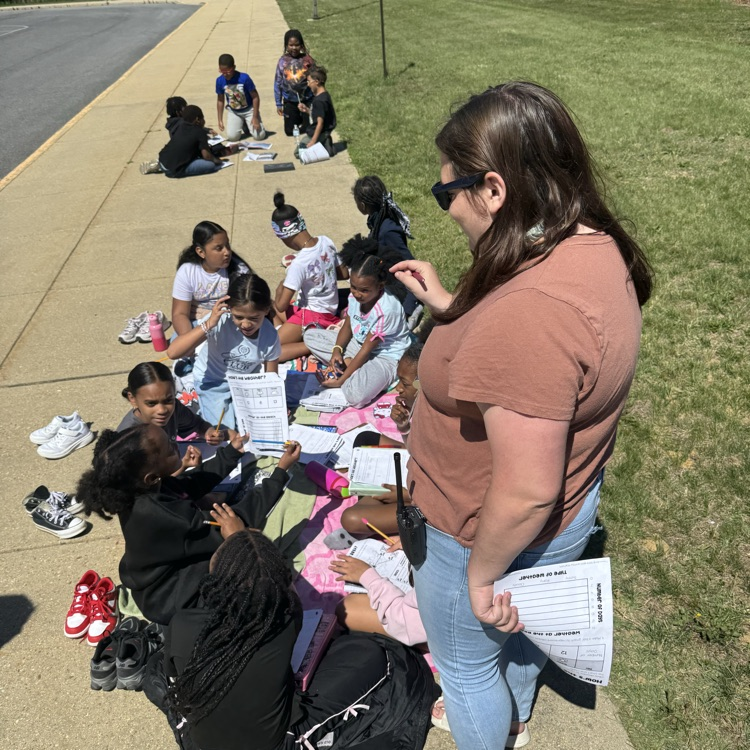 beach math day