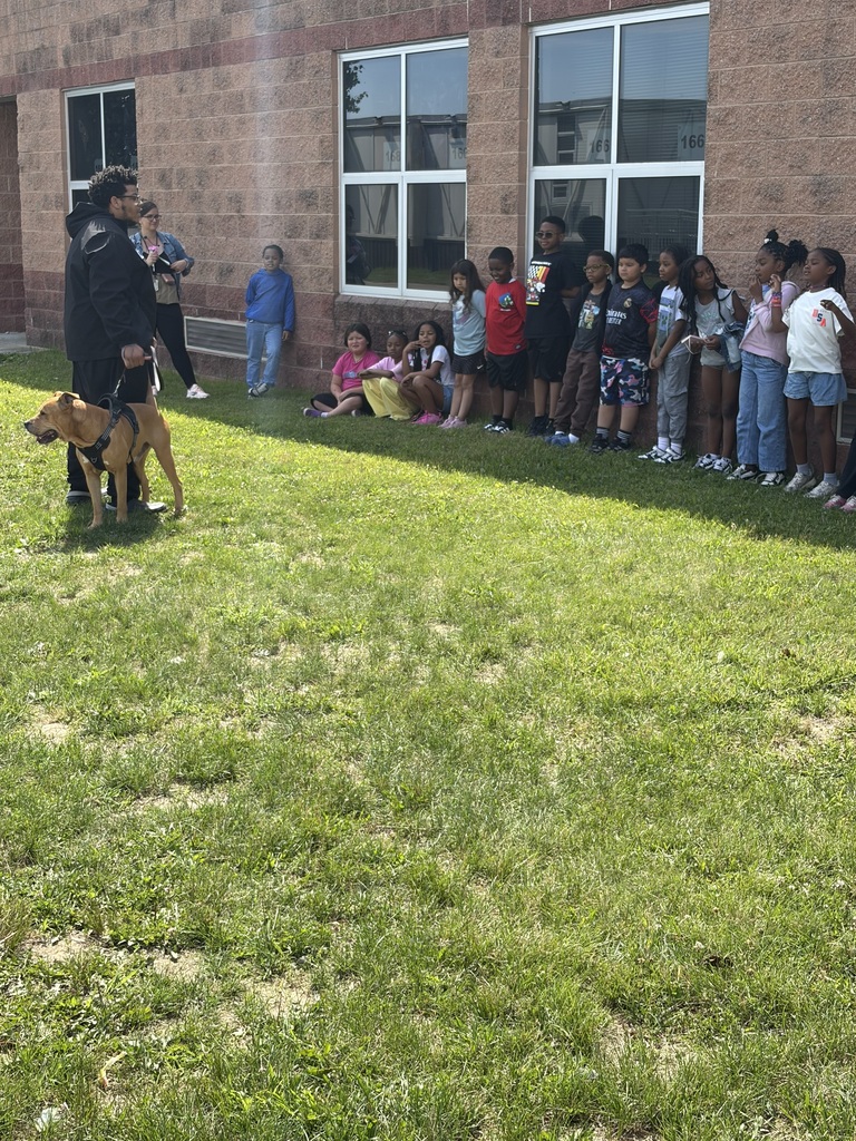 career day