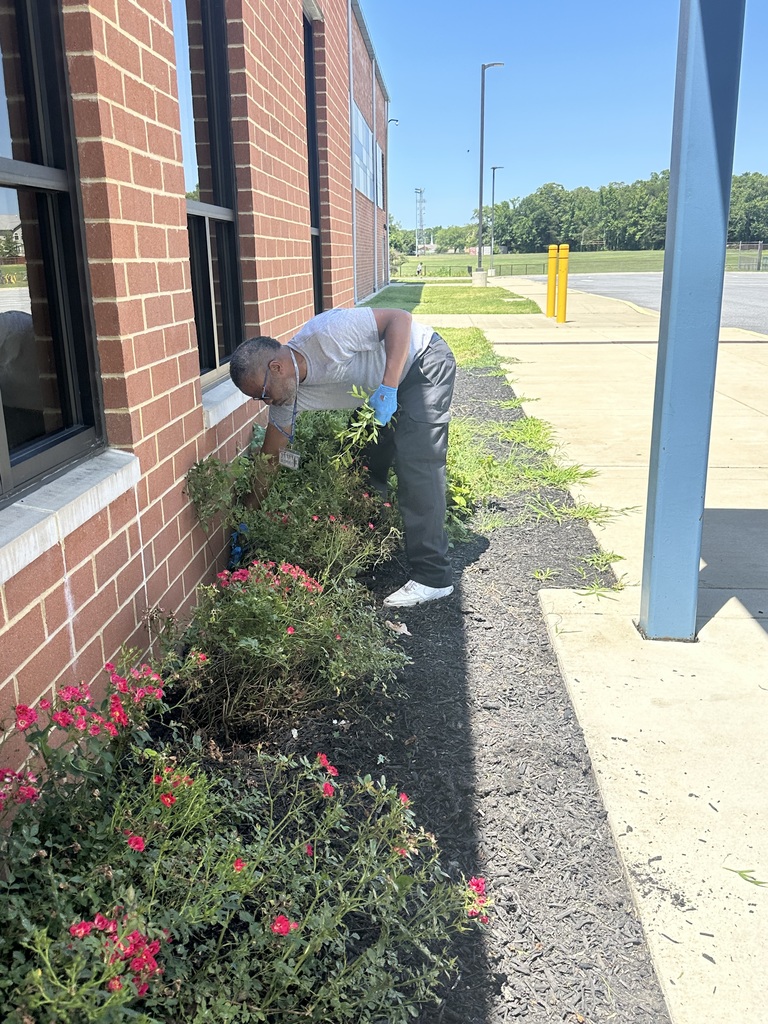 Building service worker weeding front walk