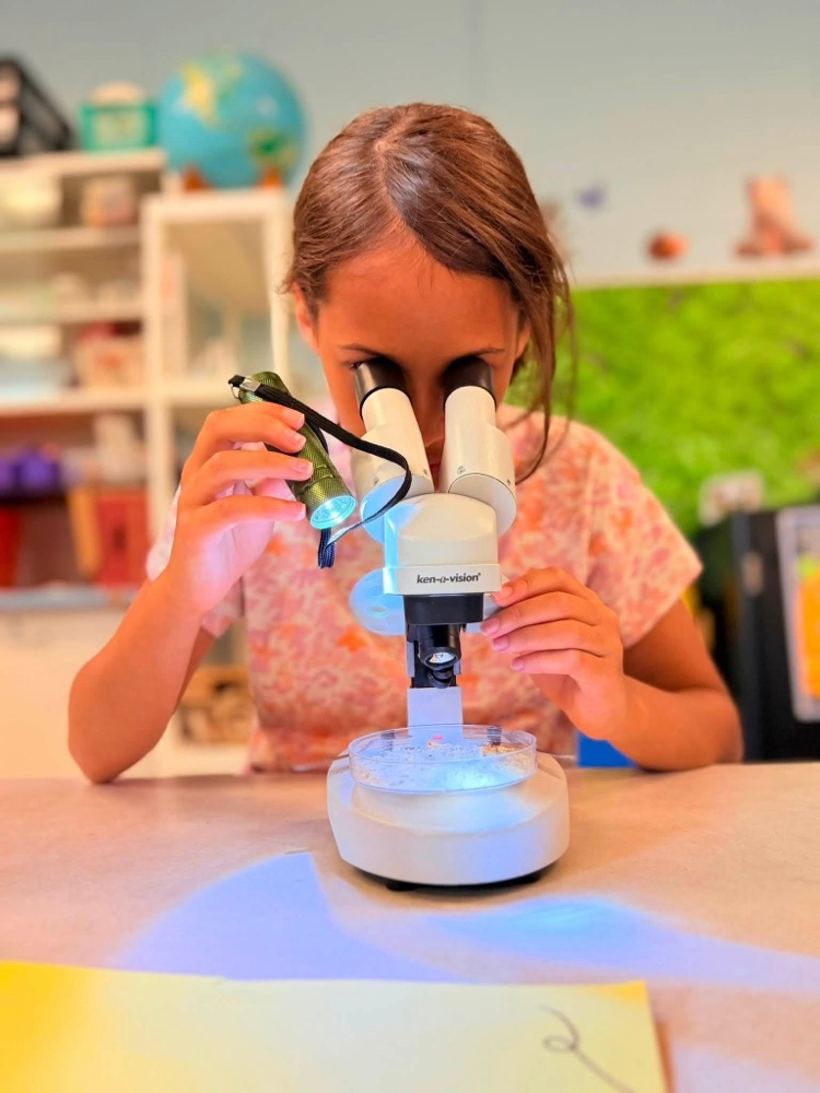student looking in microscope 
