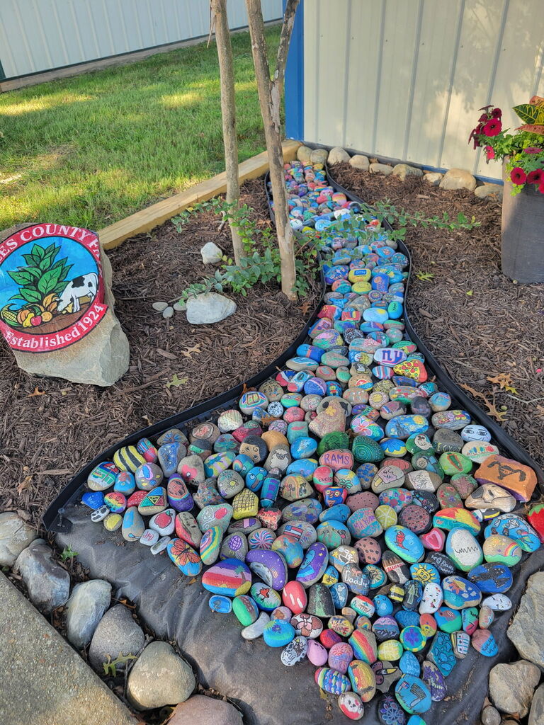 painted rocks at the fair