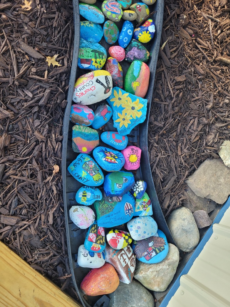 rock 6
