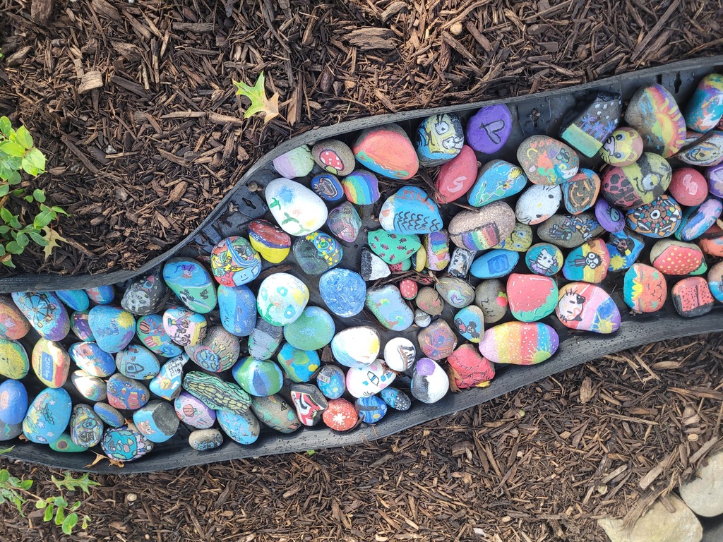 rock 5