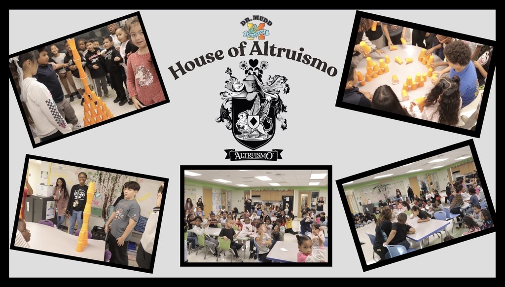 Students in the House of Altruismo take part in their first House meeting of the year, learning about House values, practicing their chant, and building cup towers as a team.