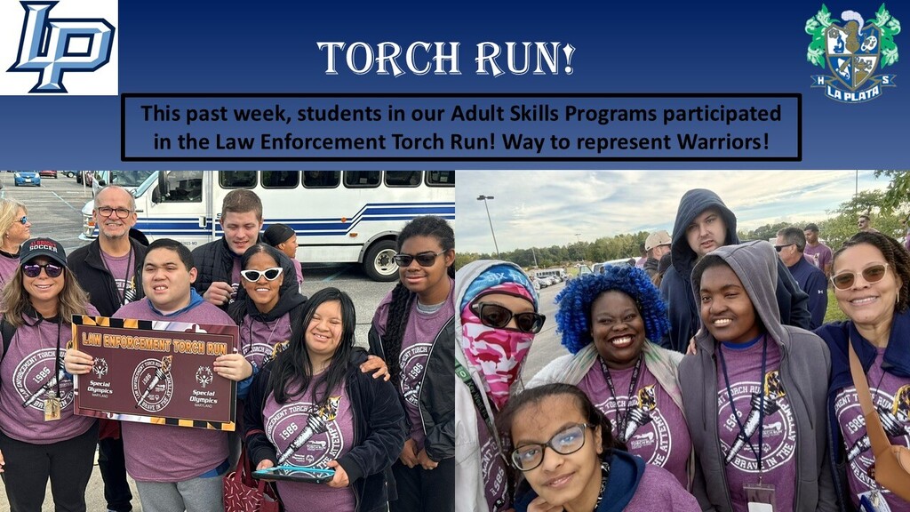 torch run