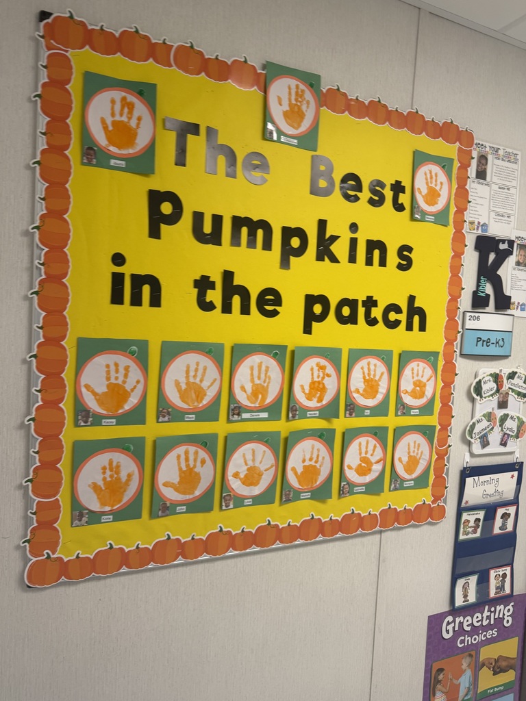 pumpkin patch