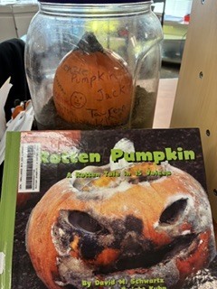 Pumpkin jack book with pumpkin in container for stem project.